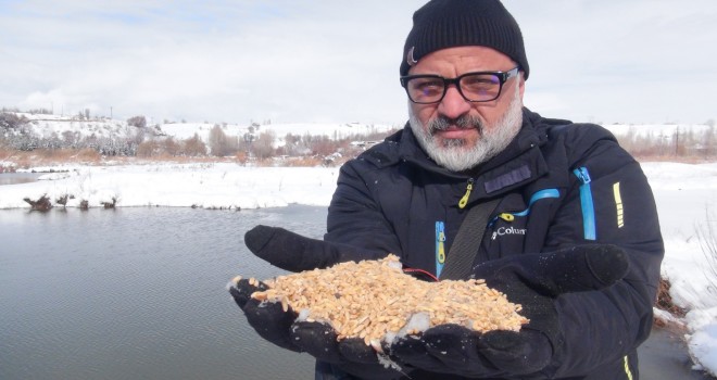 Aktivistler Kuşlar İçin Doğaya Yem Bıraktı