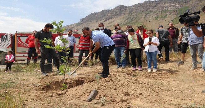 Nemrut Dağı’nda Orman Yangınlarında Hayatını Kaybedenler İçin Fidan Dikildi