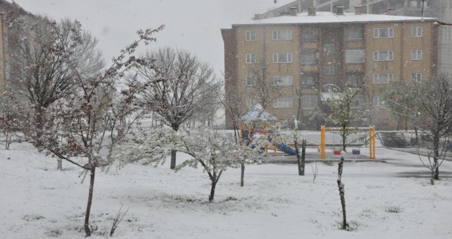 Bitlis İl Merkezindeki Okullar Tatil Edildi