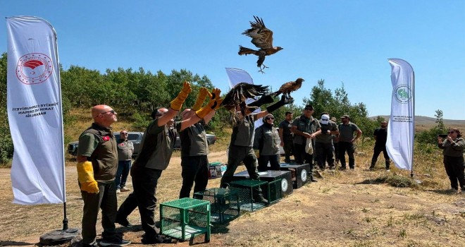 Yırtıcı Kuşlar Nemrut Kalderası’nda Doğaya Salındı