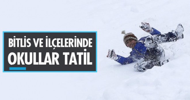 Bitlis ve ilçelerinde okullar tatil edildi