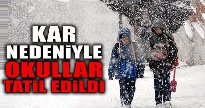 Tatvan'daki okullar 1 gün tatil edildi