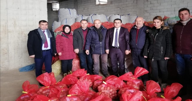 Ahlat’taki sertifikalı patates tohumluğu depoları kontrol edildi