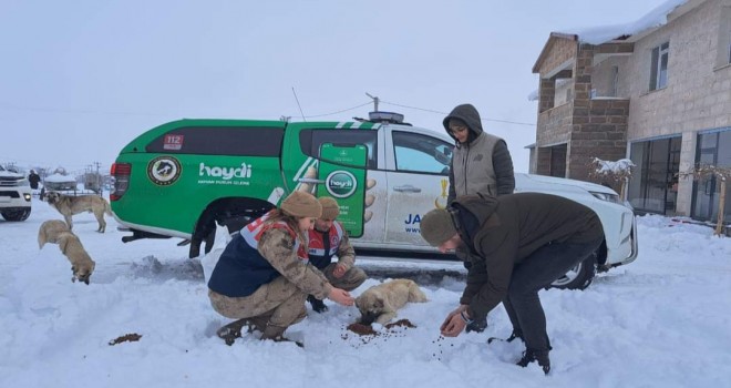 Bitlis'te Doğaya Yiyecek ve Yem Bırakıldı