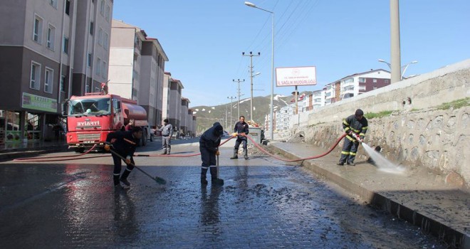 Bitlis'te bahar temizliği