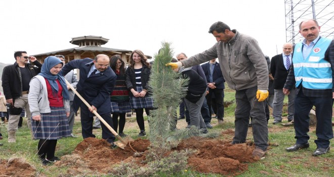 Bitlis’te fidan dikimi gerçekleştirildi