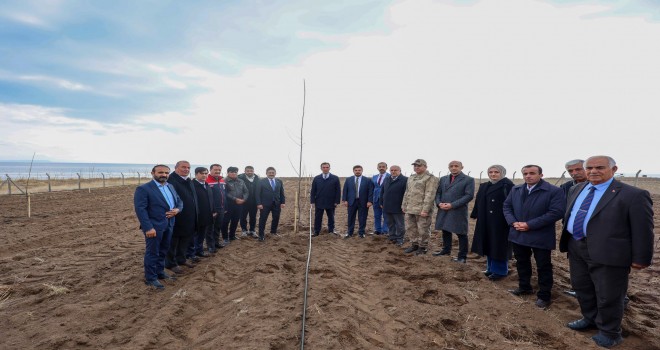 Adilcevaz’da Ceviz Fidanı Dağıtımı ve Kapama Ceviz Bahçesi Projesi Açılışı Gerçekleştirildi