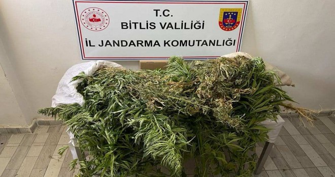 Güroymak’ta 4 Kilo 100 Gram Esrar Ele Geçirildi