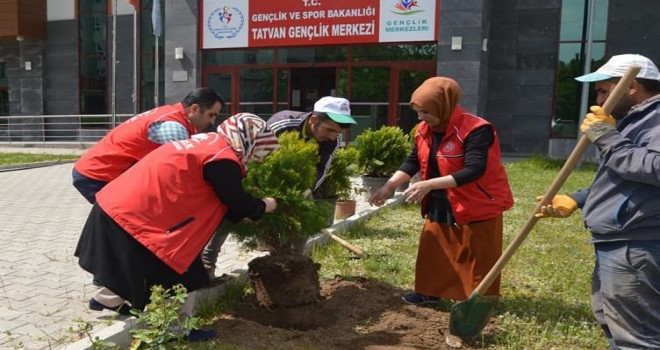 Gençlik Merkezi Bahçesinde Çevre Düzenlemesi Çalışması Yapıldı