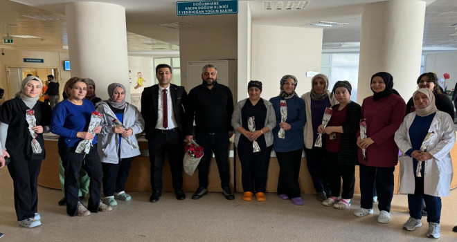 Bitlis'teki Kadın Sağlık Çalışanlarının Günü Kutlandı