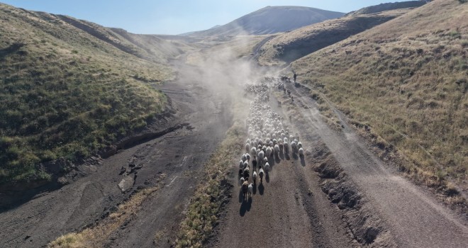 Tatvan'da Besicilerin ‘Tozlu Yolculuğu’ Sürüyor
