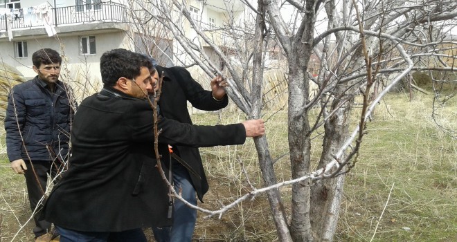 Tatvan’daki çiftçilere uygulamalı eğitim verildi