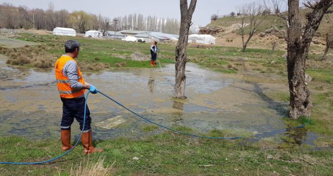 Tatvan’da Larvalara Karşı İlaçlama Çalışmaları Başladı