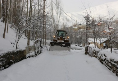 Bitlis'te 115 Köy Yolu Ulaşıma Kapandı