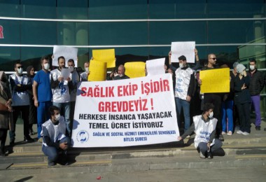 SES Bitlis Şubesi Tarafından Basın Açıklaması Yapıldı