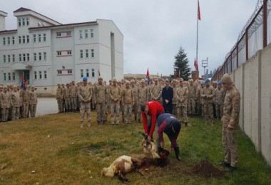 Tatvan’da askerler için kurban kesildi