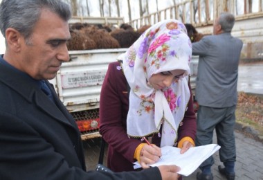 Tatvan’daki genç çiftçilere hibe desteği sağlandı