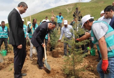 Bitlis'te Adalet Ormanı oluşturuldu