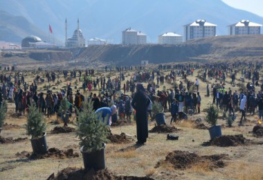 Bitlis’te fidan dikimine büyük katılım