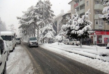 Tatvan’da kar yağışı hayatı olumsuz etkiliyor