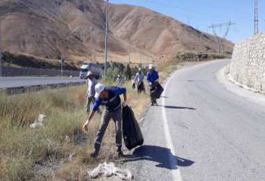 Bitlis Belediyesi Çalışanları Yabani Otları Temizliyor