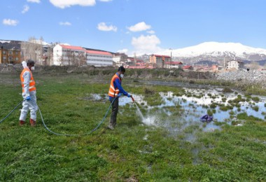 Tatvan Belediyesi larva üreme yerlerini ilaçlıyor