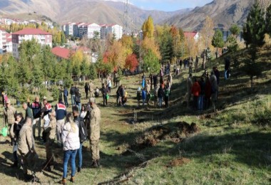 Bitlis’te Jandarmadan Milli Ağaçlandırma Gününe Destek