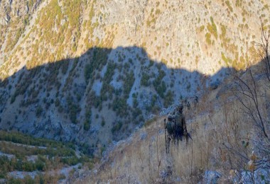 Bitlis’teki 4 Teröristin Etkisiz Hale Getirildiği Operasyon Başarıyla Sonuçlandı