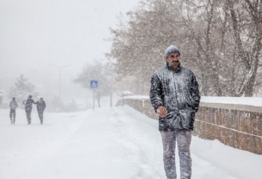 Ahlat’ta kar yağışı hayatı olumsuz yönde etkiledi
