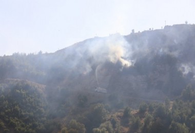 Bitlis'teki Yangın Kontrol Altına Alındı