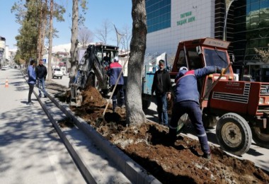 Tatvan’da Park ve Bahçelerde Yaz Bakımı Başladı