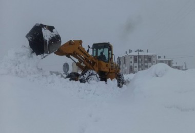 Kardan Dolayı Bitlis'te 203 Köy Yolu Ulaşıma Kapandı