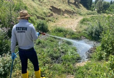 Tatvan’da Geceli Gündüzlü Sivrisinek ile Mücadele