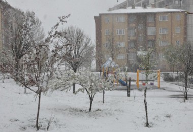 Bitlis İl Merkezindeki Okullar Tatil Edildi