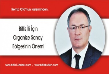 Bitlis İli İçin Organize Sanayi Bölgesinin Önemi