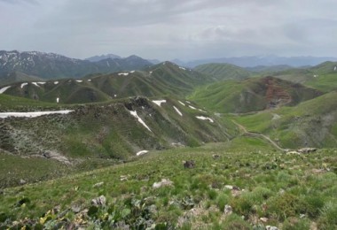 Bitlis’te Yetişen Yayla Muzu’na Yoğun İlgi