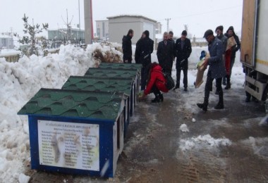 Üniversite öğrencilerinden sokak hayvanlarına sıcak yuva