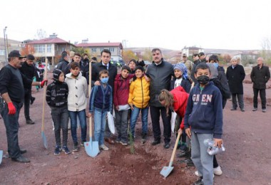 Ahlat’ta Fidanlar Toprakla Buluştu