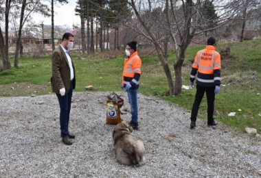 Tatvan’daki sokak hayvanları için doğaya yem bırakıldı