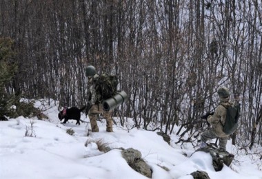 Bitlis ve Siirt İllerinde Eren-11 Sehi Ormanları Operasyonu Başlatıldı