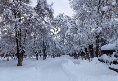 Bitlis, Tatvan, Güroymak ve Hizan'da Okullar Yarın Tatil