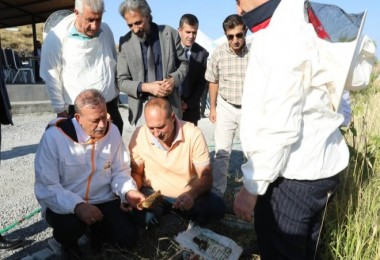 Kovanlar Açıldı, Hasat Başladı Bitlis Eren Üniversitesinde Arıcılık Bilimle Büyüyor