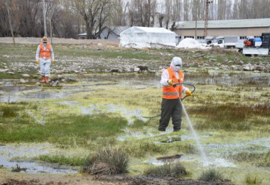 Tatvan’da Park ve Yeşil Alanlarda Lavra İlaçlama Çalışmaları Başladı