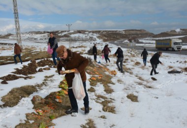 Tatvan'da yabani hayvanlar için doğaya yiyecek bırakıldı