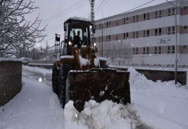 Tatvan Belediyesi, Karla Mücadele Çalışmalarını Sürdürüyor