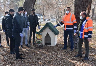 Tatvan Belediyesi’nden Sokak Hayvanlarına Kulübe