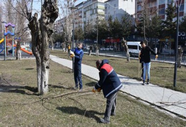 Tatvan’da Park ve Bahçelerde Temizlik ve Budama Çalışmaları Devam Ediyor