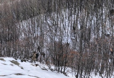 Bitlis sınırlarında yine teröre darbe