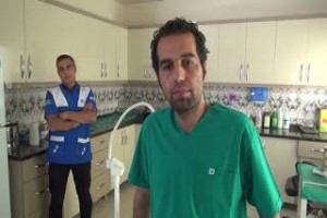 Tatvan’da bulunan yaralı tilki tedavi altına alındı - Bitlis Bülten