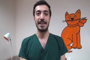 Sağlık çalışanları lösemiye dikkat çekmek amacıyla video hazırladı - Bitlis13haber
